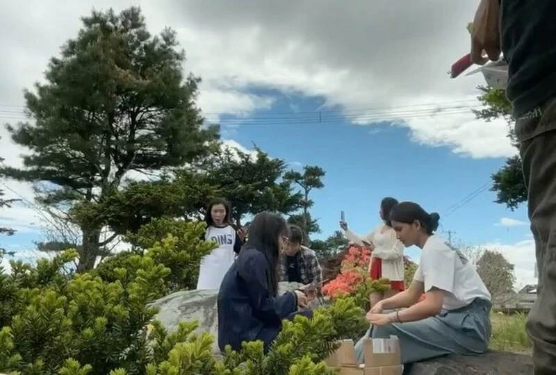 21857 案件個別 (4)
