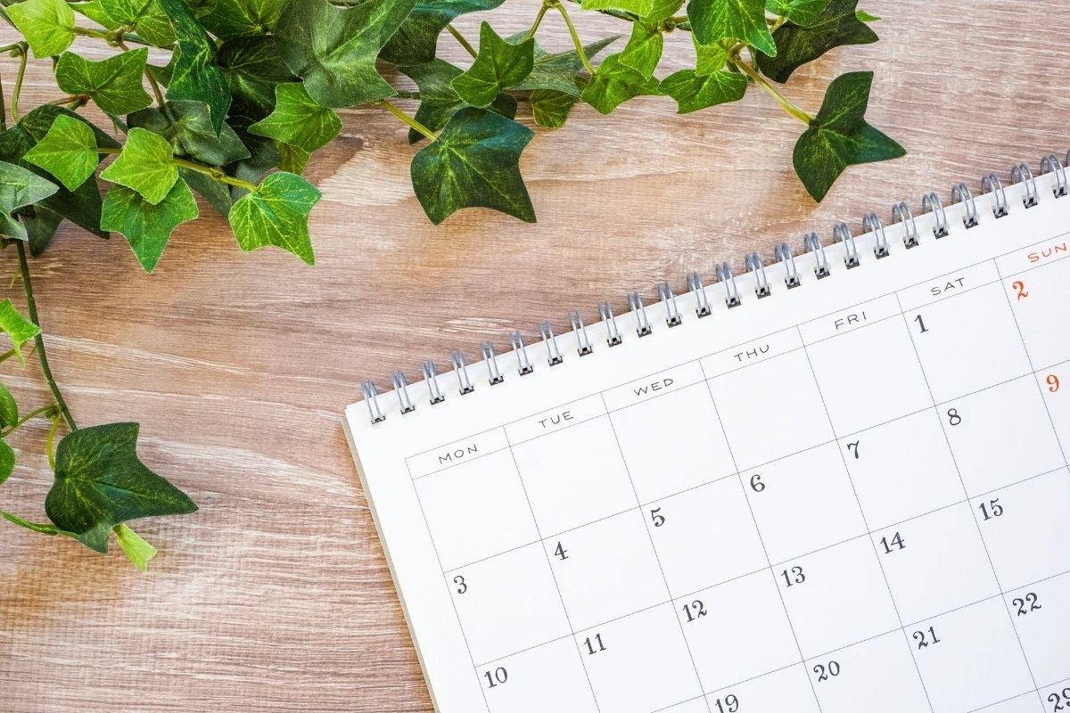 AdobeStock_273995921 (1)