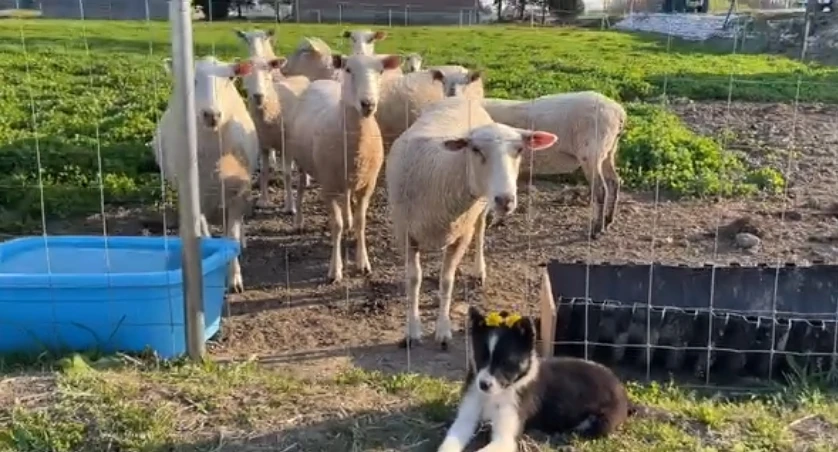 自然とのふれあいを楽しむ