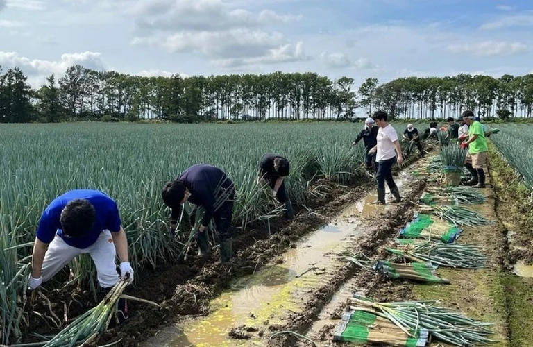 自由なシフトで自分らしく働ける短期職！新たな挑戦をあなたに｜北海道長沼町の農業は株式会社三木田