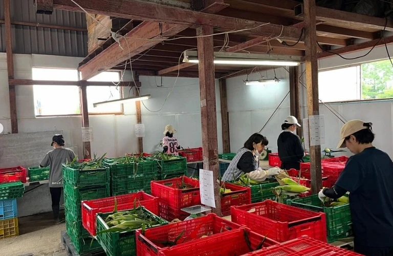 働きやすさを追求する新しい作業環境で、あなたの可能性を広げよう｜北海道長沼町の農業なら株式会社三木田
