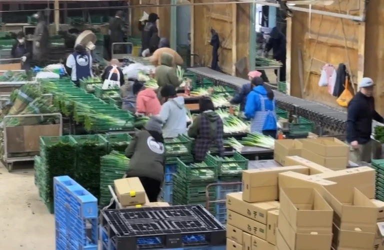 未経験者でも安心！自由自在なシフトの仕事｜北海道長沼町の農業なら株式会社三木田