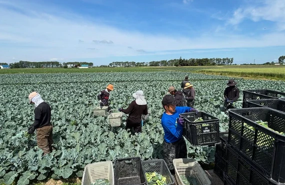 自由自在なシフトの仕事｜北海道長沼町の農業なら株式会社三木田